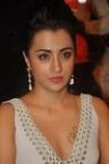 Trisha Krishnan